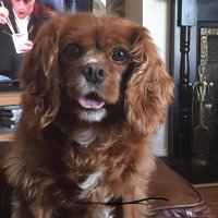 Diane O’Toole (@dianeotoole8) 's Twitter Profile Photo Diane O’Toole (@dianeotoole8) 's Twitter Profile Photo