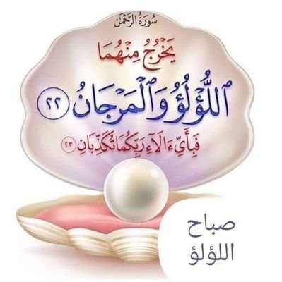 hishamalmahdy96's profile picture. ‏مدرب بالنادي الأهلي بدبي