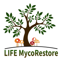 LIFE MycoRestore(@mycorestore) 's Twitter Profile Photo