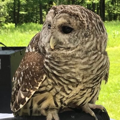 Tian07402378's profile picture. 