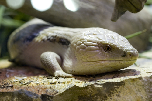 JohnE1982's profile picture. 