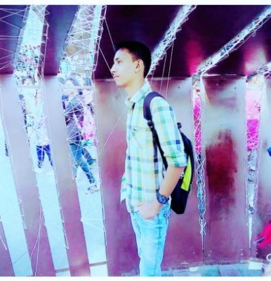 ProgramizL's profile picture. software engneer