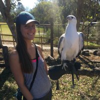 Caylee Falvo (@caylee_falvo) 's Twitter Profile