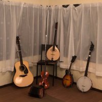 東京都立大学アイリッシュ音楽研究会☘️ (@tmu_irish) 's Twitter Profile