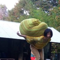 bundou kaori (@bunkao) 's Twitter Profile Photo