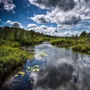 David Cookson - @riverislandman - Twitter