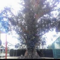 AN (@0820akoo) Twitter profile photo