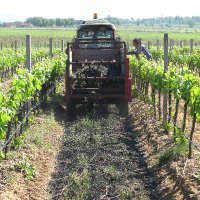 Biochar Lab CNR (@biochar_lab) 's Twitter Profile