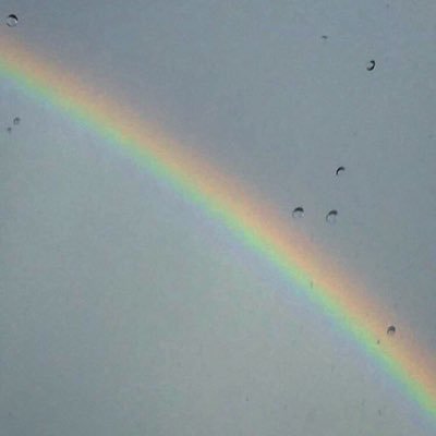 sanier_u's profile picture. 💚新しい事をやってみて、悲しさが消える 💚