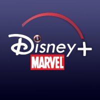 DisneyPlusMarvel(@DisneyPlusMarve) 's Twitter Profile Photo