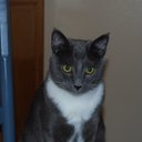 Kym Kelley-Strong - @Kymzbyz - Twitter