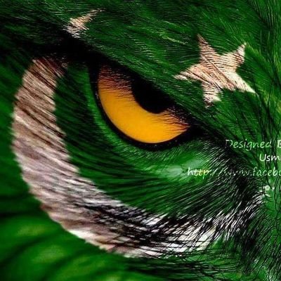 upperdir9's profile picture. ‏،،میں اہم تھا،،یہی وہم تھا،،