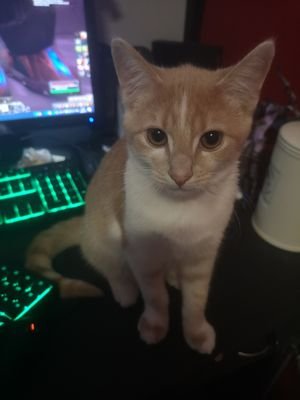 timss6's profile picture. 