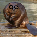 Harry Beaver - @ImHarryBeaver - Twitter