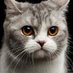 storyofmylife Profile picture