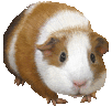 yar1_'s profile picture. MBA/M&A/Valuation/HFs/PE Funds/HY Credits/Arbitrage/美味しいもの/野球