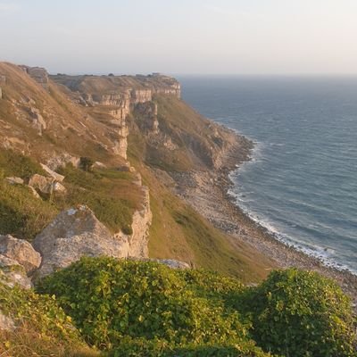 stejones77's profile picture. 