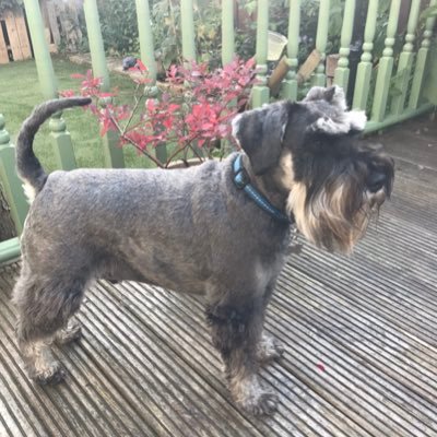 Passionate about community, good food, litter picking, upcycling, dogs & nature