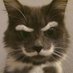 . (@wibbcat) Twitter profile photo . (@wibbcat) Twitter profile photo
