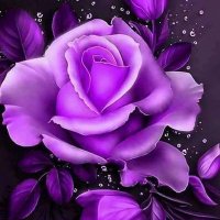 💓❤️ موجب القاهره ❤️ ❤️ ❤️ (@dddfdddaa) 's Twitter Profile