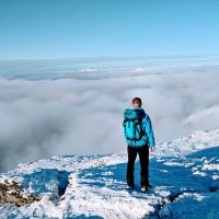 Paddy Mulholland (@physiopaddy) 's Twitter Profile
