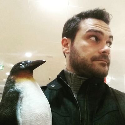 RandomSpieler's profile picture. Smarte Profil Beschreibungstexte machen einen noch lange nicht cool. Ich habs ausprobiert.