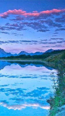 Chelo26035773's profile picture. .