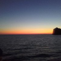 IreneChiesa (@irenechiesa22) 's Twitter Profile