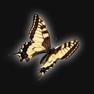 PilluleM's profile picture. Je t'aide à te métamorphoser, rejoins ma chaîne YouTube 👇👇👇 
https://t.co/H7yuuOyL9L