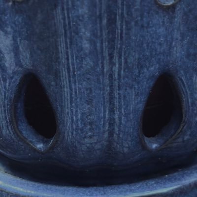 nik_writes's profile picture. Formerly caged bird - now living my best free-range life!