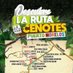Ruta de los Cenotes (@ruta_cenotes) Twitter profile photo Ruta de los Cenotes (@ruta_cenotes) Twitter profile photo