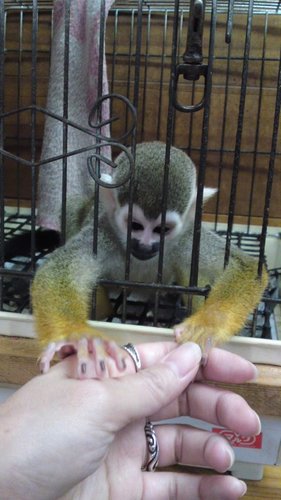 bluereef_bb's profile picture. 今までほぼ閲覧専門民でしたが、日本を守る為になにかしらできたらいいなと思っています✨←思想強そうw
ホラー・オカルト・都市伝説・スピ系・海外ドラマ・お笑いなど色々大好物です🤗💕