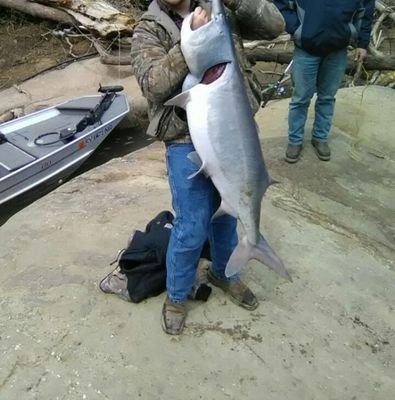 DylanDe68223786's profile picture. 