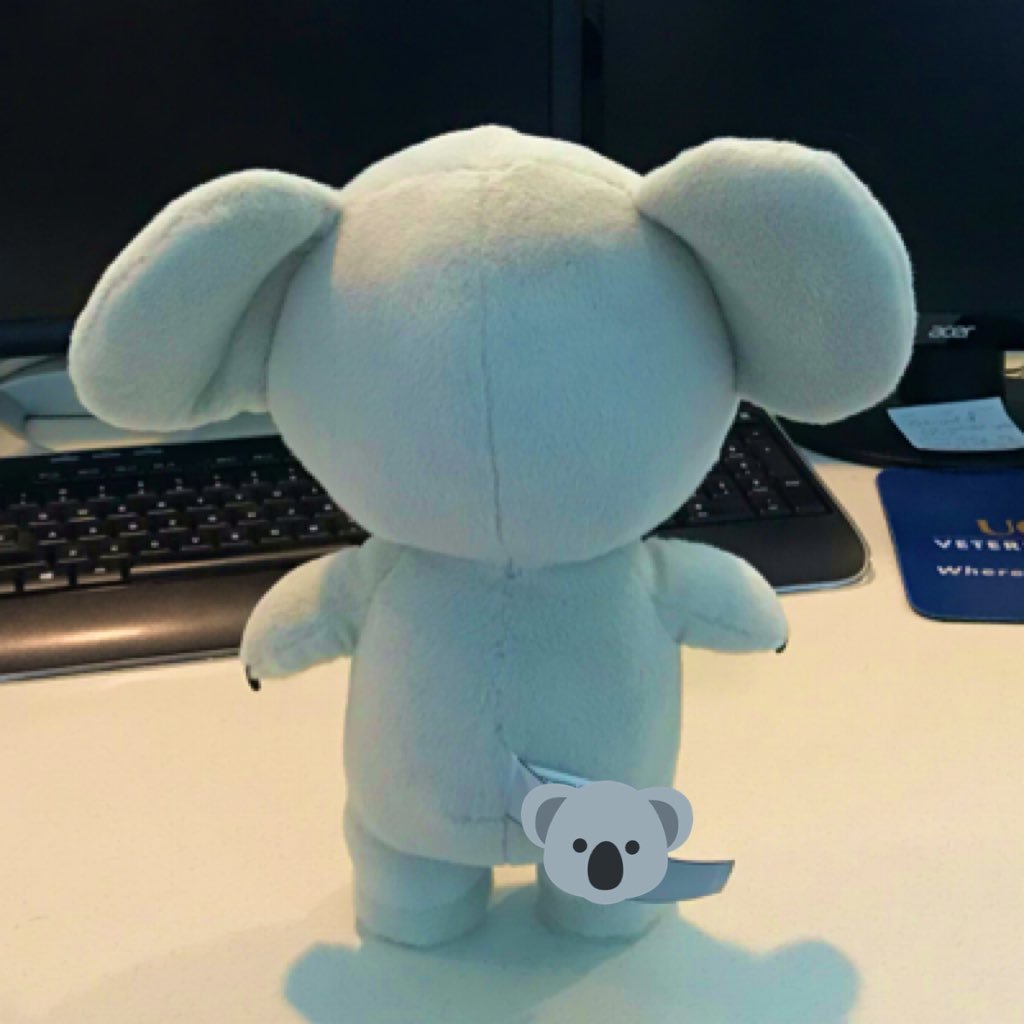 KPHuang_'s profile picture. A neuroscientist with a specific interest in feeding behavior, obesity, and gut-brain axis