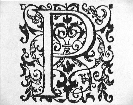 postbody's profile picture. 