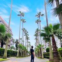 p-yama (@pyama0912) 's Twitter Profile