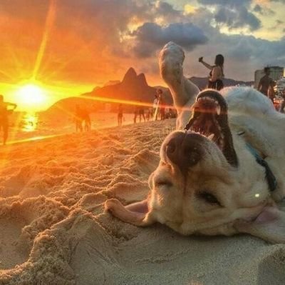 NormaMdeHUDSON's profile picture. 