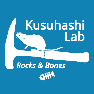 KusuhashiLab Profile Picture