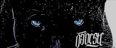 DAOESTE1's profile picture. Somos mais que gerar apenas conteúdo, somos um conceito.