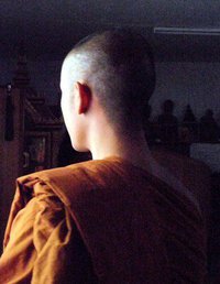 ekaggacitto's profile picture. Buddhist daily wisdom.