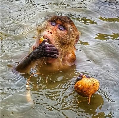 BraingameM's profile picture. หัวใจก็สั่นหวั่นไหว