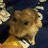 か~くん♪のTwitterプロフィール画像