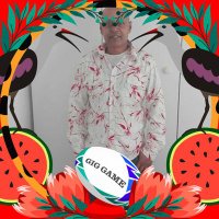 Chris Naicker (@chrisnaicker3) 's Twitter Profile