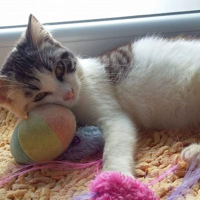 ArnedoJulia's profile picture. Falta humildad y sobra arrogancia.. no es el siglo XXI?

      ⛔no mas desahucios ⛔