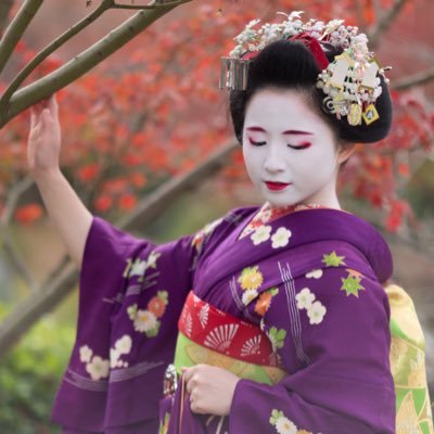 kyoto5kagai's profile picture. 世界に誇る国際文化観光都市、京都。なかでも芸妓・舞妓の彼女達は、地元民のみならず国内外の旅行者にも愛されるおもてなしのスペシャリストです。 京の花街【上七軒・祇園甲部・祇園東・先斗町・宮川町】五花街の芸舞妓が一度に揃う撮影会を不定期に開催。 他にはない、弊社だけの特別な時間を是非ご体験ください。