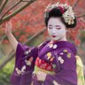 kyoto5kagai's profile picture. 世界に誇る国際文化観光都市、京都。なかでも芸妓・舞妓の彼女達は、地元民のみならず国内外の旅行者にも愛されるおもてなしのスペシャリストです。 京の花街【上七軒・祇園甲部・祇園東・先斗町・宮川町】五花街の芸舞妓が一度に揃う撮影会を不定期に開催。 他にはない、弊社だけの特別な時間を是非ご体験ください。
