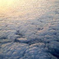 Resolute (@resolut19743590) 's Twitter Profile