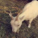 Jessica Rae Quinn - @JESSIERAEQ - Twitter