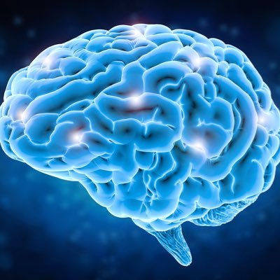 MissATPsych's profile picture. Psychology PGCE at @worcester_uni 👩‍🏫, BSc Psychology graduate from @unibirmingham 👩‍🎓