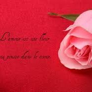 angeladuchenne's profile picture. l amour